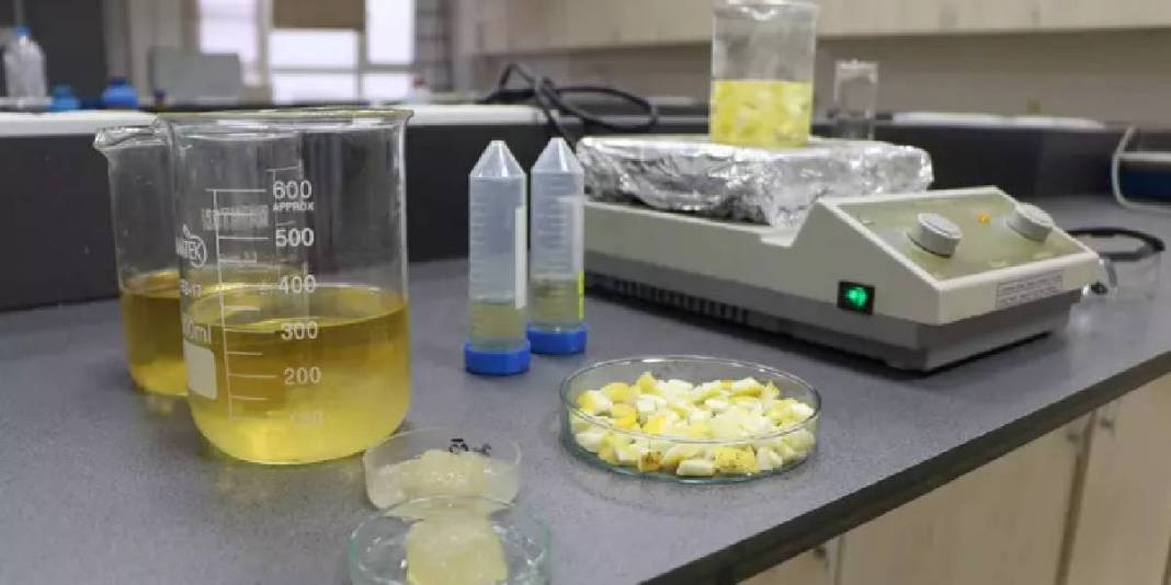 Doğal atıktan süper emici malzeme: Ağaç kavunu kabukları hidrojele dönüştü 5